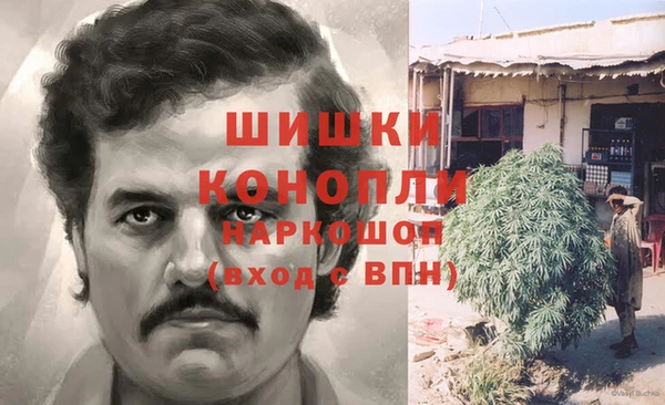 экстази Бородино