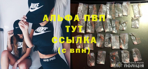 экстази Бородино