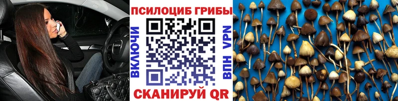 МЕГА маркетплейс Вяземский Псилоцибиновые грибы ЛСД где можно купить наркотик