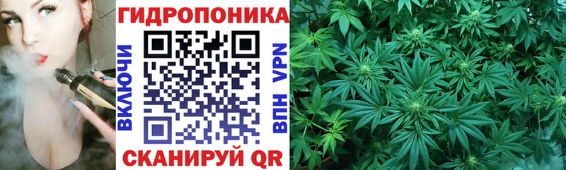 Каннабис ГИДРОПОН Вяземский